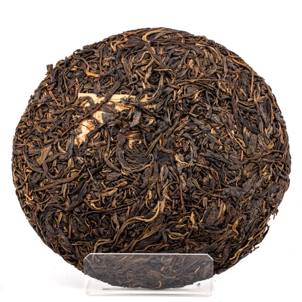 2011 WWSF Wangong (Herbst)