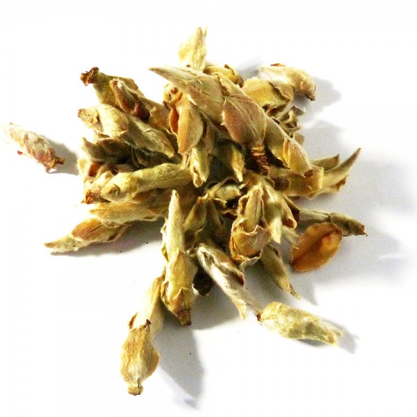 Ming Quian Wild Buds