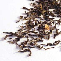 Jasmin Bio Jasmin Bio