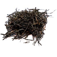 2026 Black Orchid Hong Cha